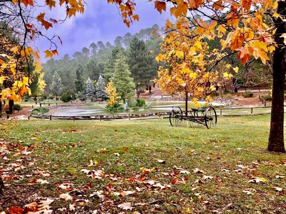 Casa Rural Riopar, Luxury In Nature Екстер'єр фото